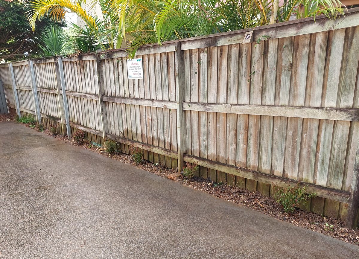 Fence line fully cleared and tidied